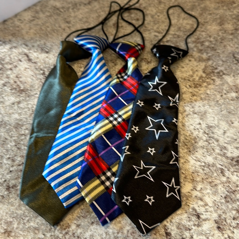 NWOT 10 inch unisex ties set of 4. Attached elastic cord goes under the collar